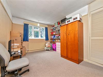 Picture 19